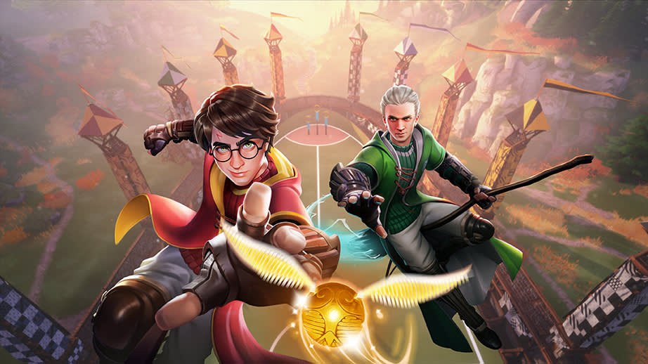 Harry Potter: Campioni di Quidditch